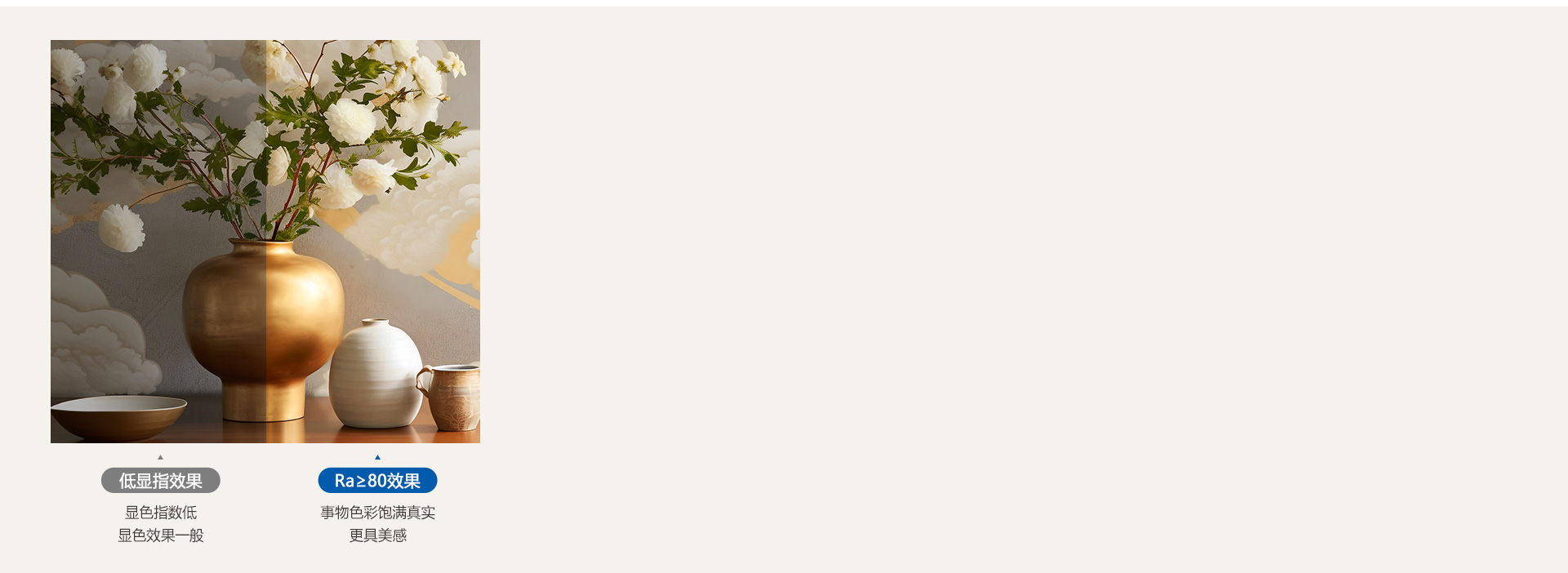 看见本真之美
 显色指数Ra≥80，光线...